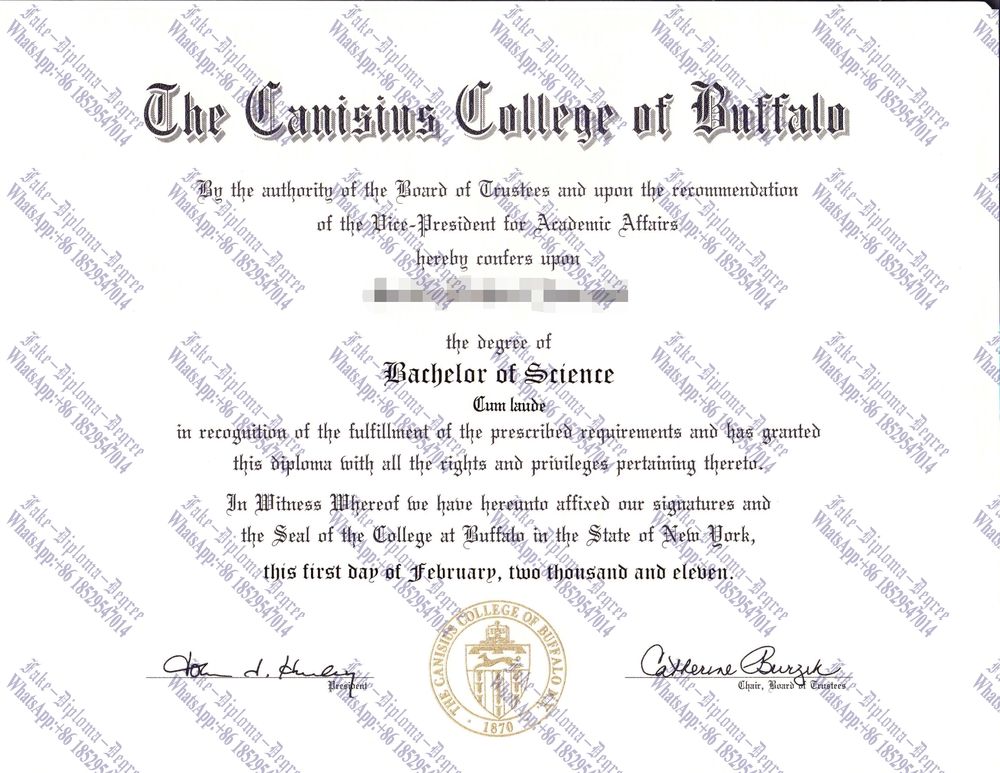 Best Fake Canisius College Diploma