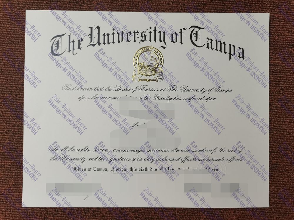 Best Fake University of Tampa Diploma
