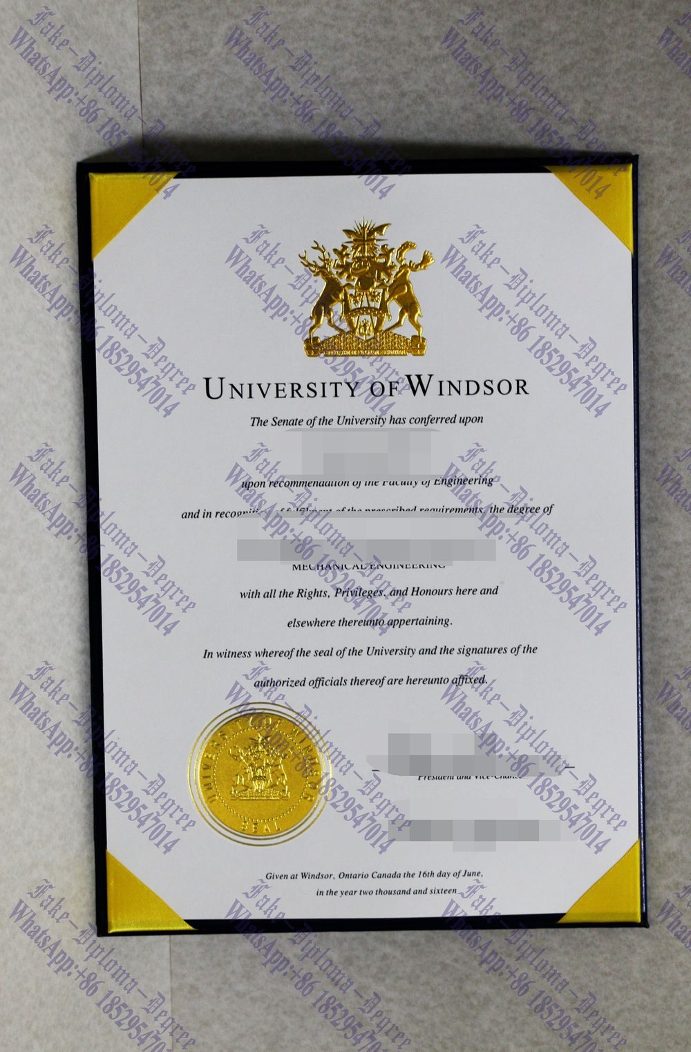 Buy fake University of Windsor Diploma