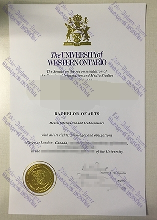 Buy fake Western University Diploma