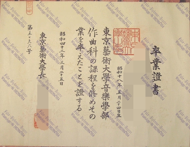 Copy Fake Tokyo University of the Arts Diploma