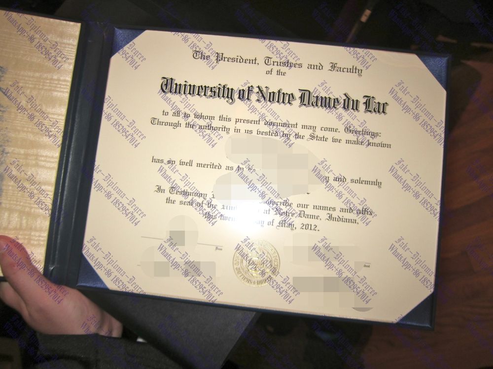 Copy Fake University of Notre Dame Diploma