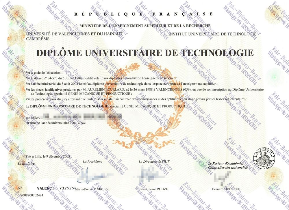 Copy Fake Université de Valenciennes et du Hainaut Cambrésis Diploma
