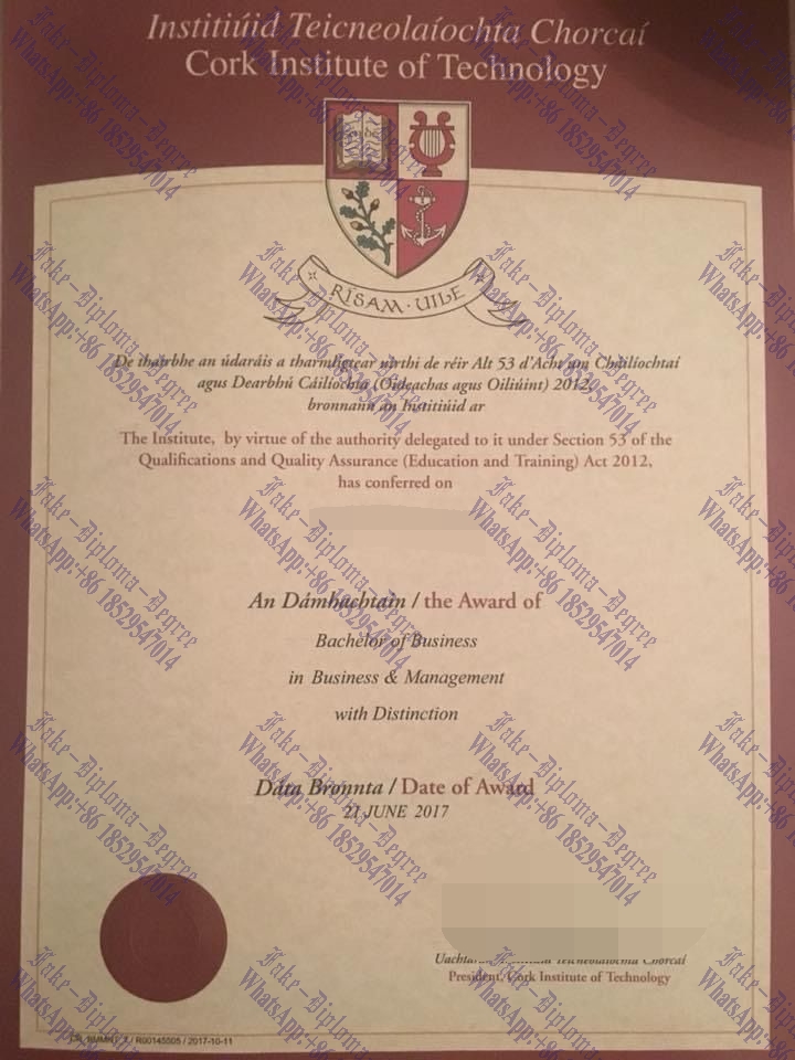 Fake Cork Institute of Technology Diploma