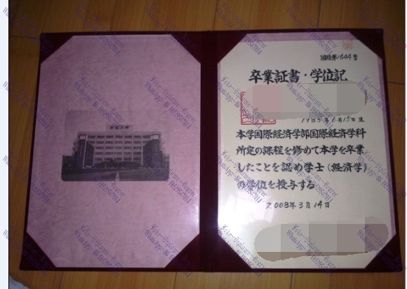 Fake HAMAMATSU University Degree