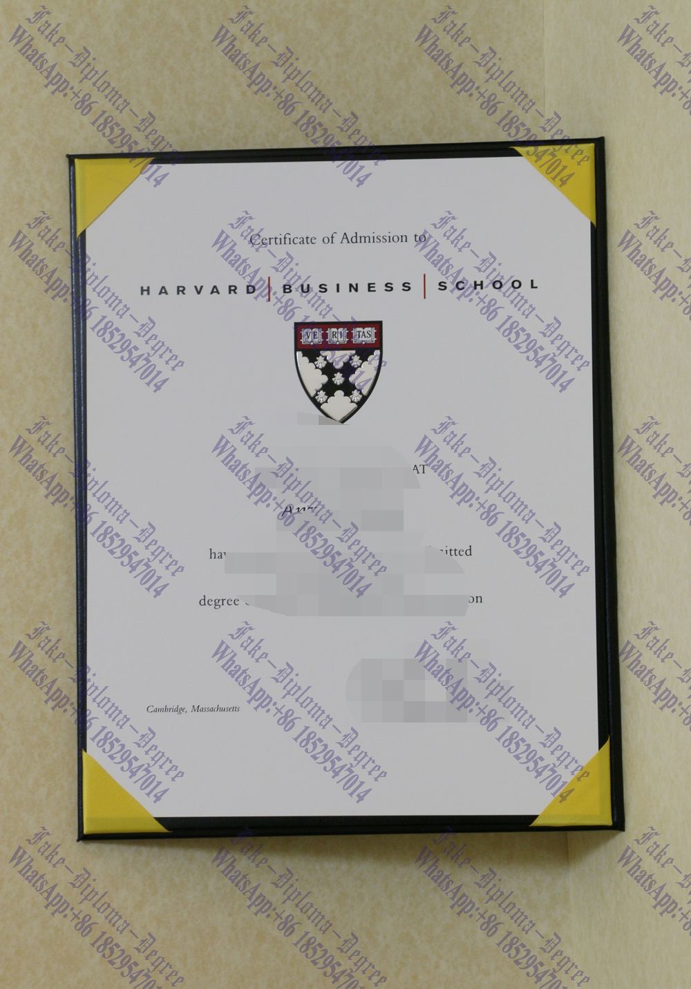 Fake Harvard Business School Admission Letter Diploma