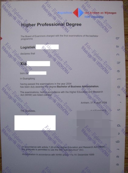 Fake Hogeschool van Arnhem en Nijmegen Degree