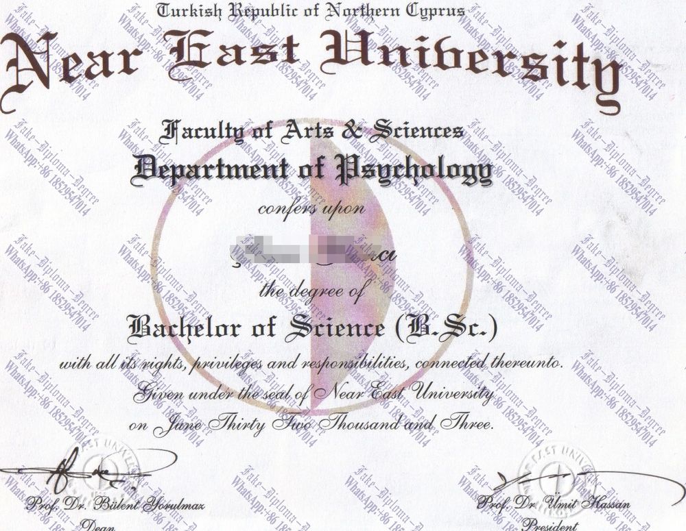 Fake Near East University Degree