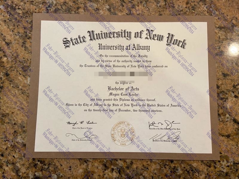 Fake University at Albany SUNY Diploma