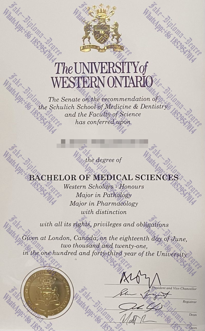 Fake University of Western Ontario Degree