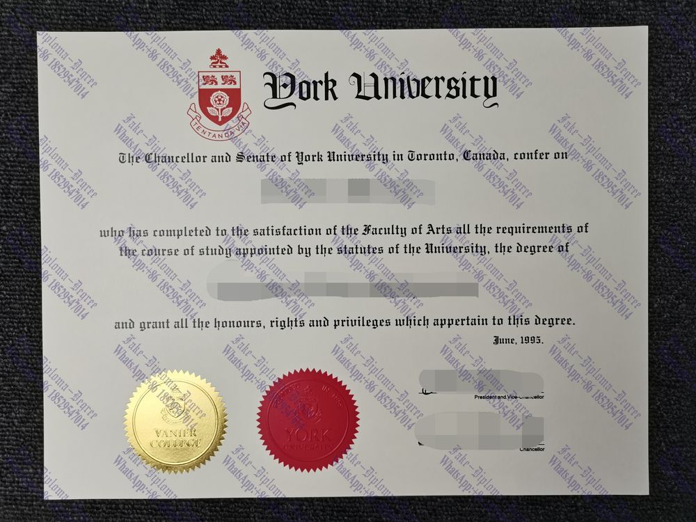Fake University of York Degree