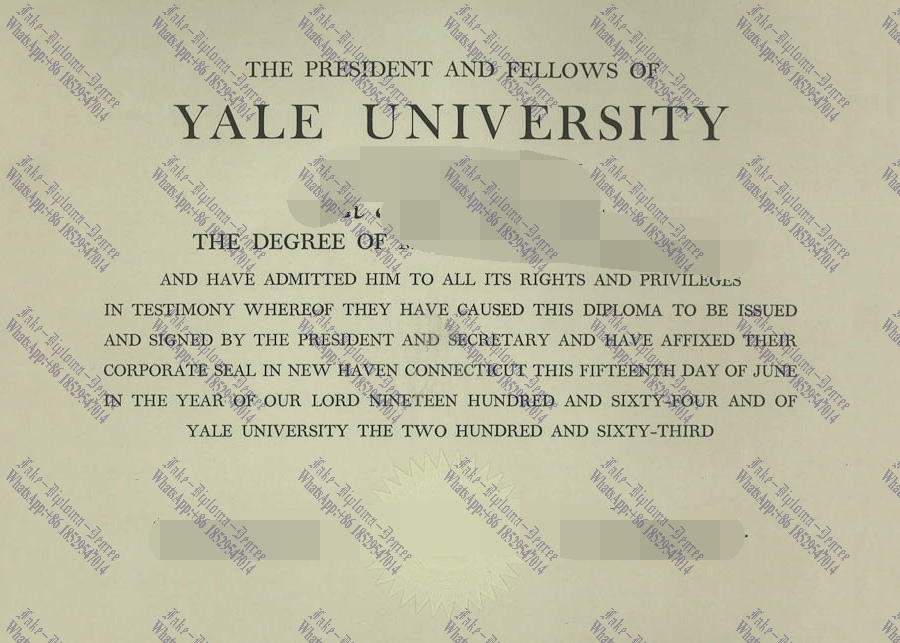 Fake Yale University Diploma