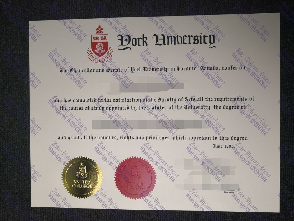 Fake York University Diploma