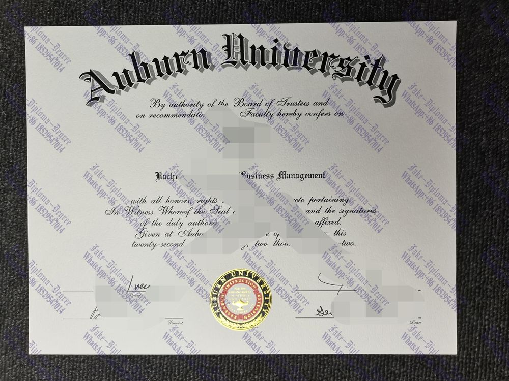 Fake auburn University Diploma