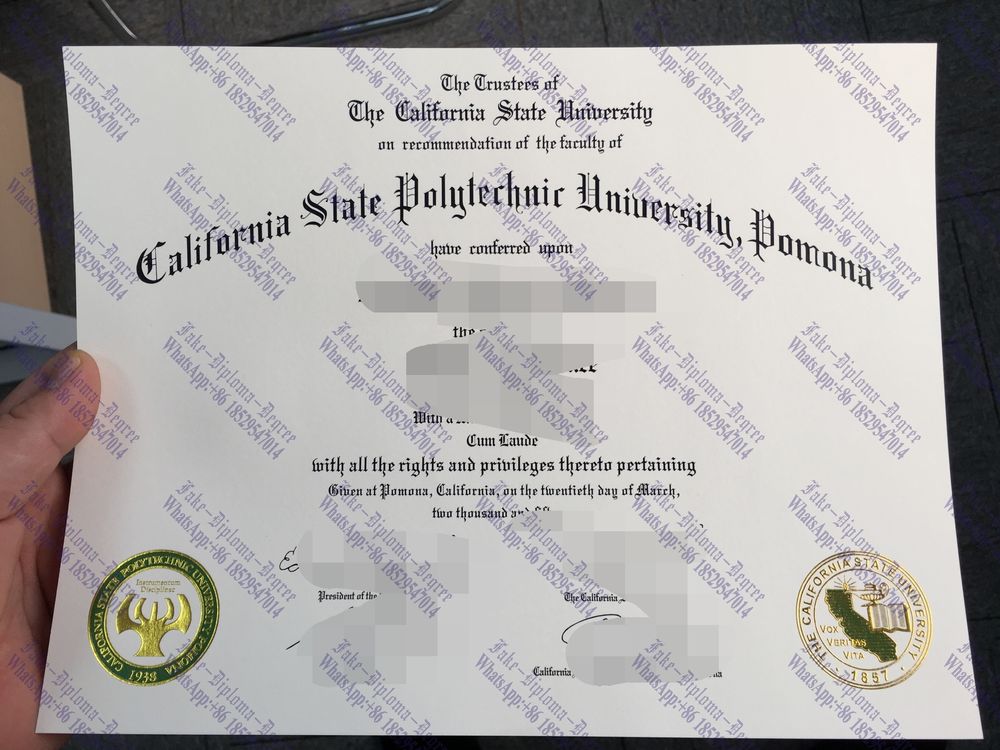 How Fast to Buy Fake California State University System Diploma