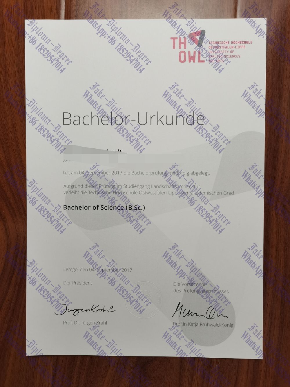 How Fast to Buy Fake Management University of East Westphalia Lippe Diploma