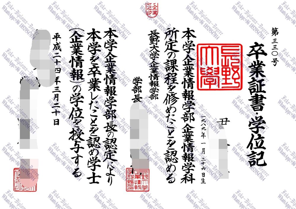How to order fake Nagano University Diploma