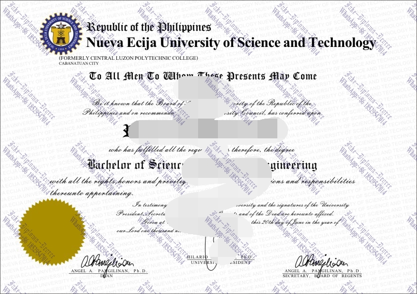 How to order fake Nueva Ecija University of Science and Technology Degree