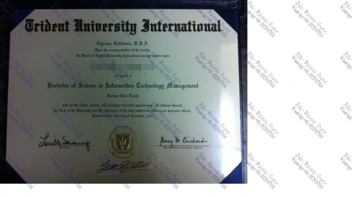 How to purchase fake Trident University International Degree
