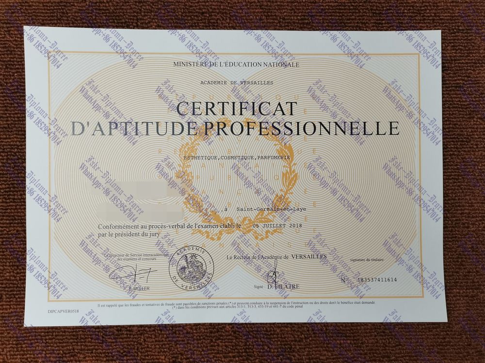 Is it possible to buy fake Schools Des Beaux Arts De Versailles Diploma