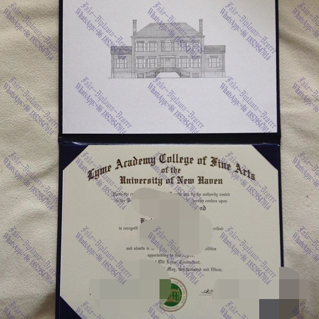Is it possible to buy fake University of New Haven Degree