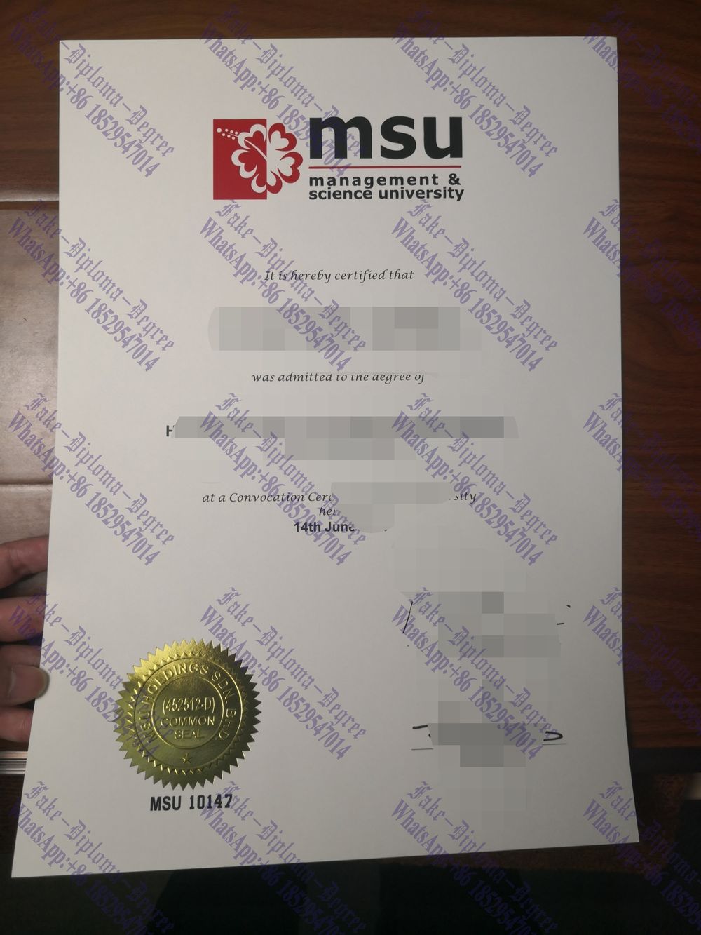 Make fake Michigan State University Degree