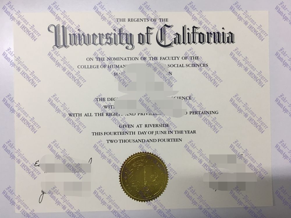 Purchase fake University of California, Riverside Diploma