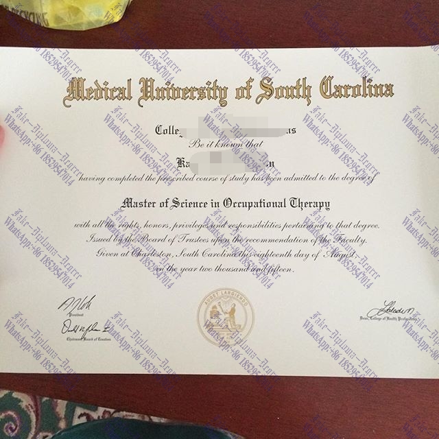 Purchase phony Medical University of South Carolina Diploma