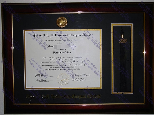 Purchase phony Texas AM University Corpus Christi Degree