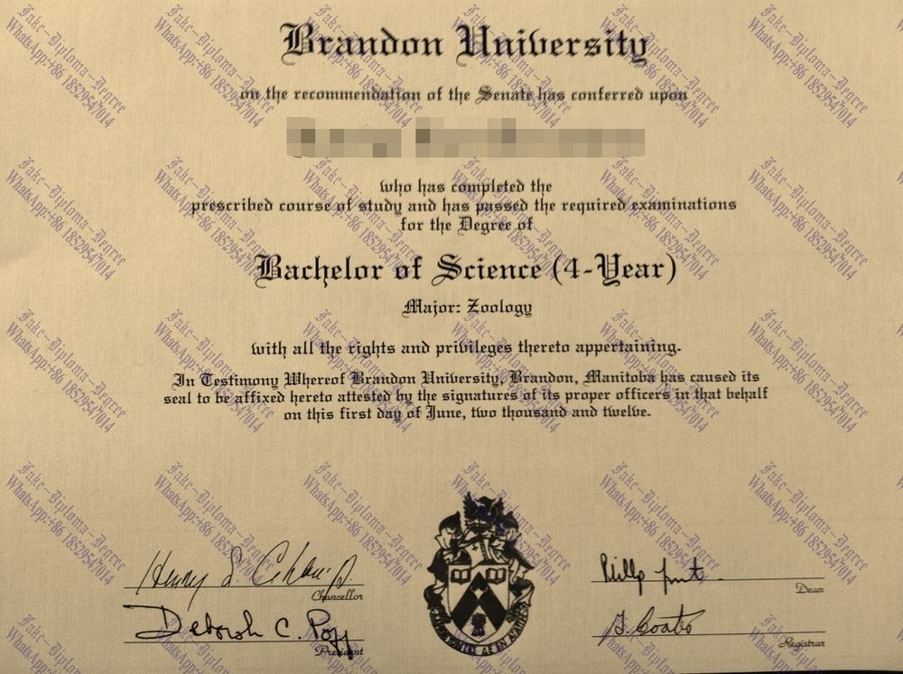 The steps to buy fake Brandon University Diploma