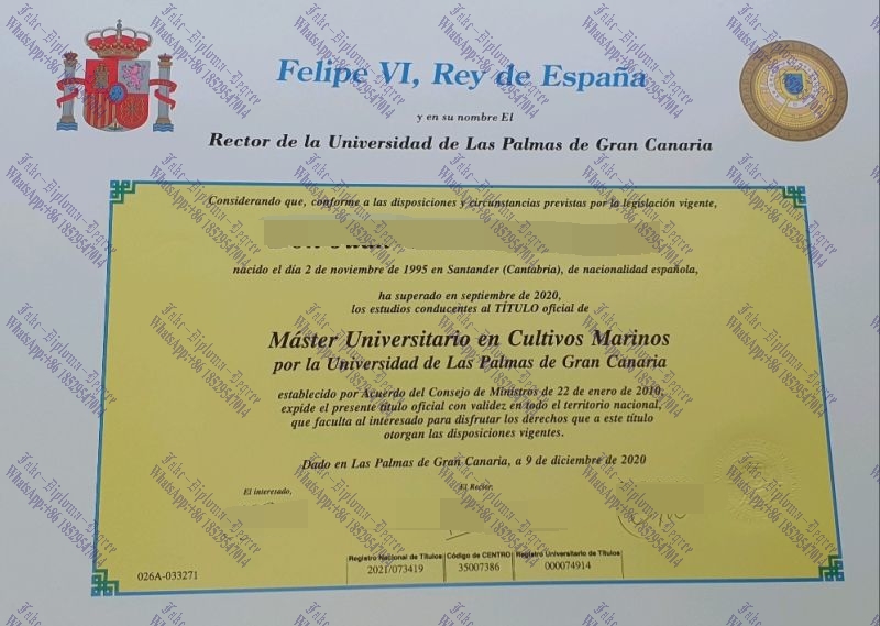 Where to order fake Municipality of Las Palmas Degree