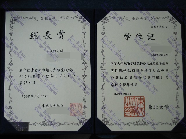 Where to purchase fake Northeastern University Diploma