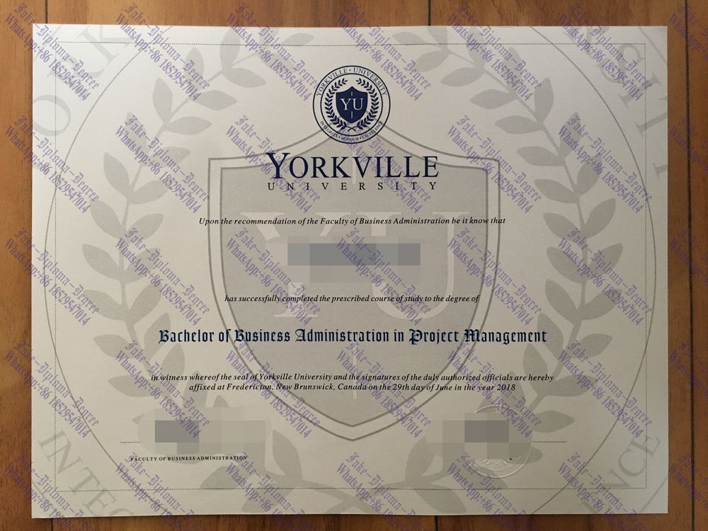 Where to purchase fake Yorkville University Degree